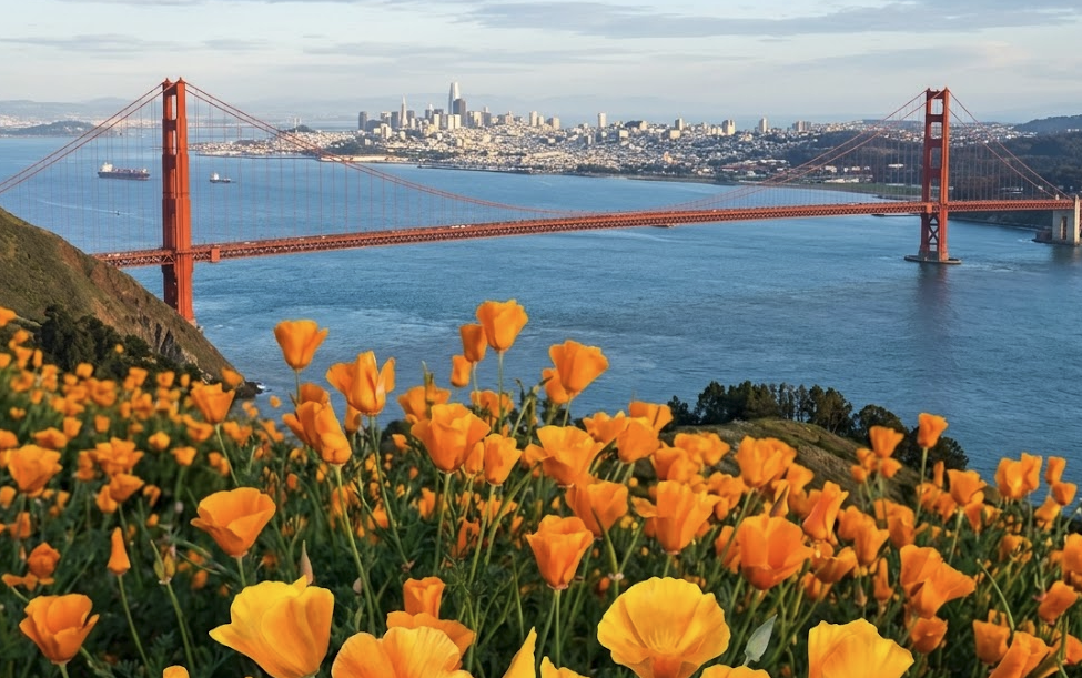 Beyond the Grant – Building Sustainable Revenue for Public Gardens